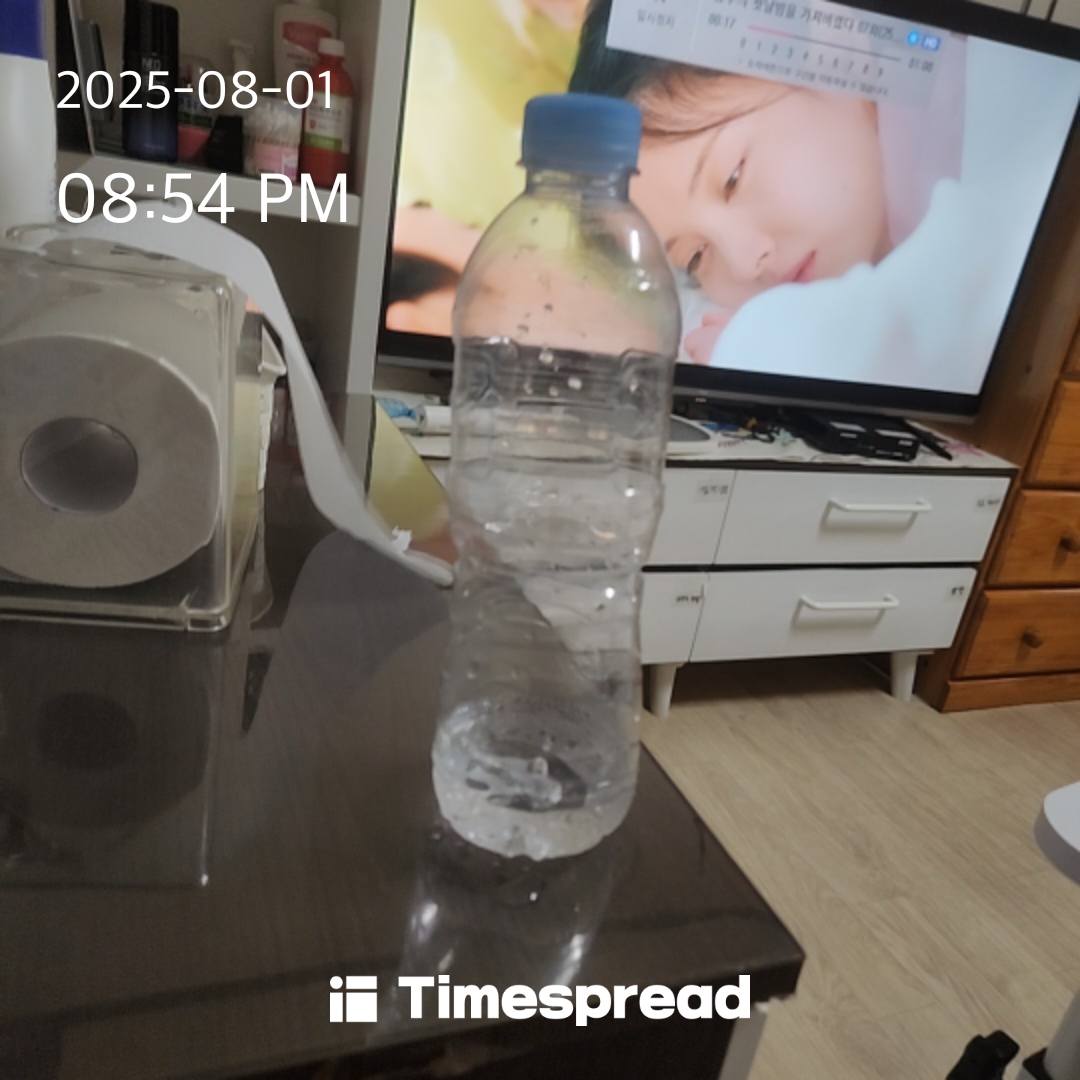 얼음물