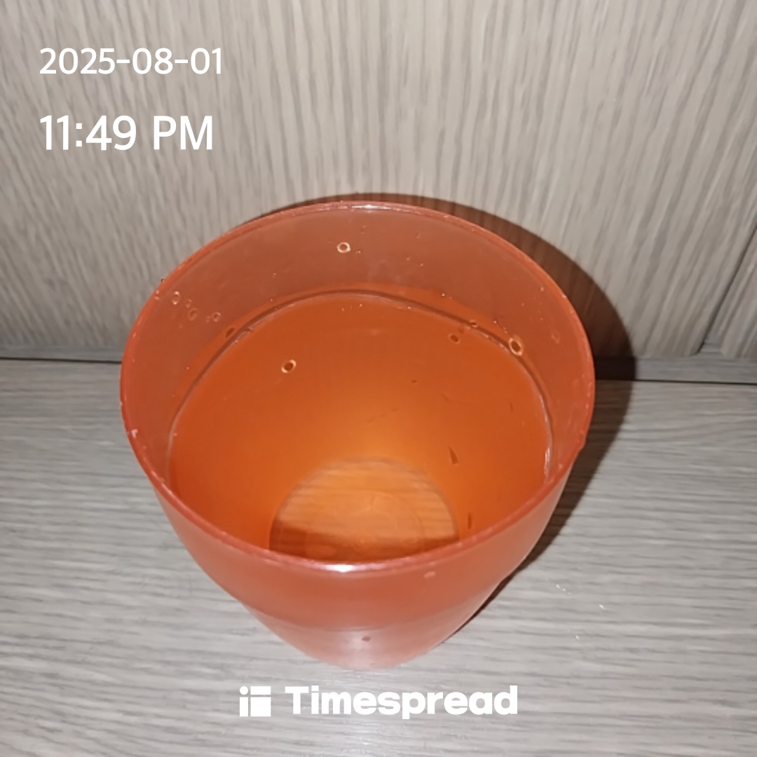 물마시기 