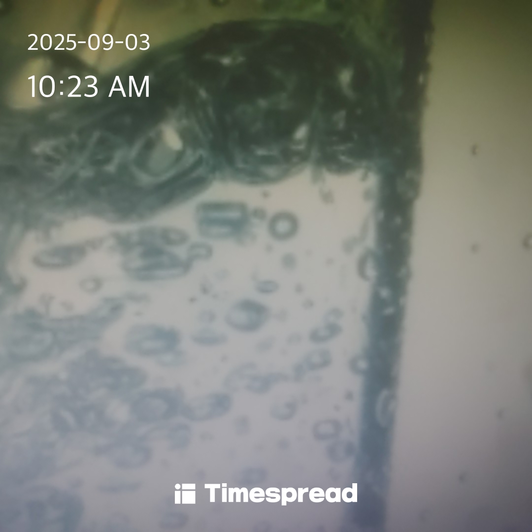 board-img