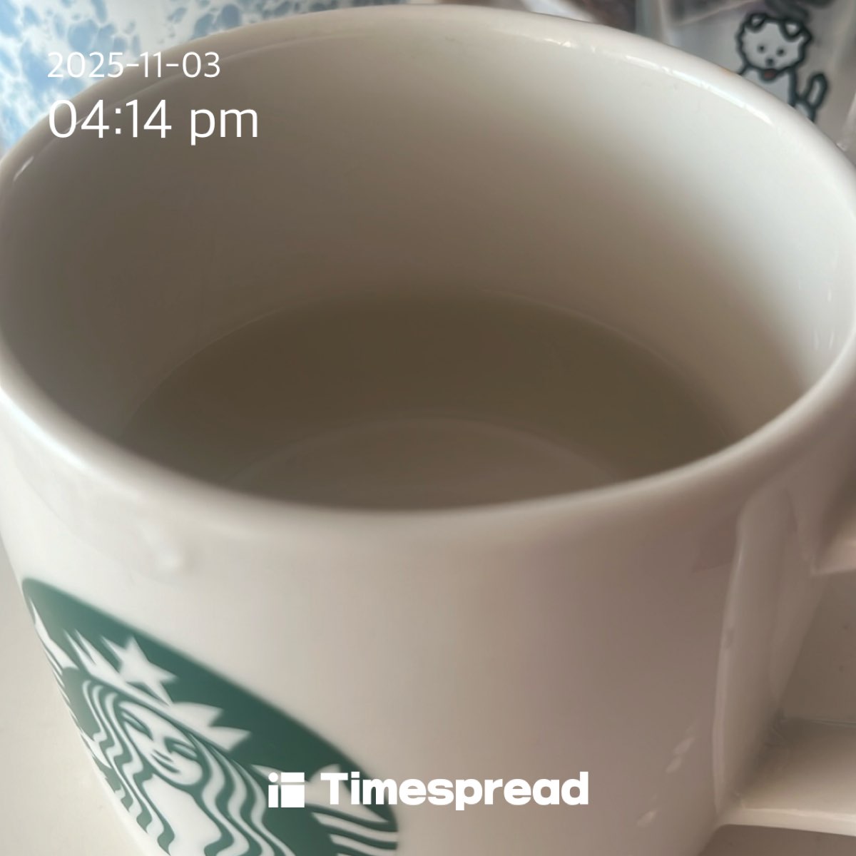 물마시기 6일차