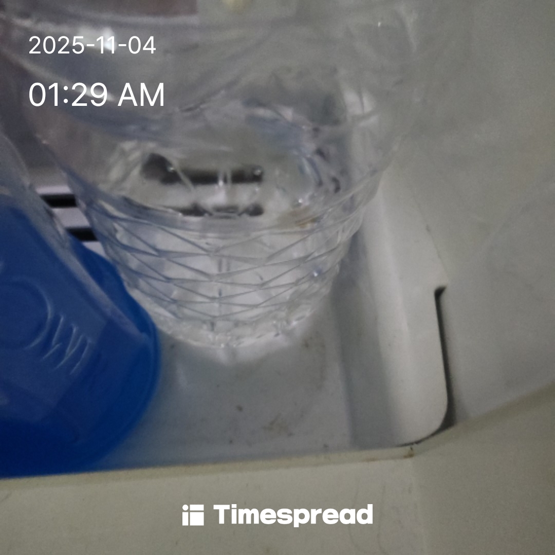 물마시기 챌린지