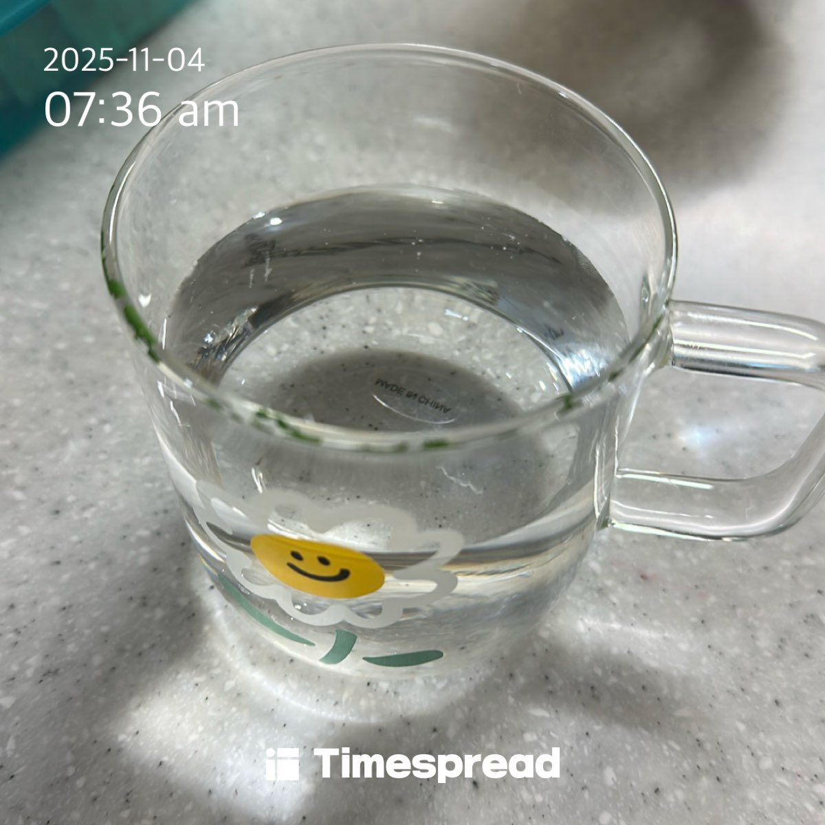 물마시기 2일차 인증