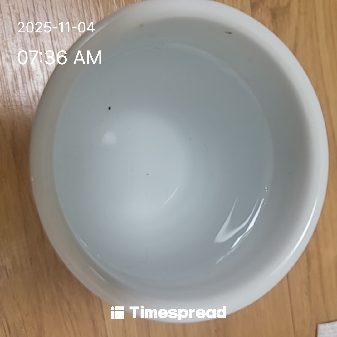 물마시기 챌린지 2일차