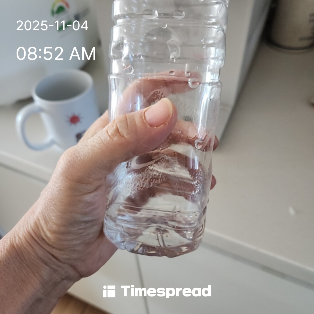 물마시기 2일차