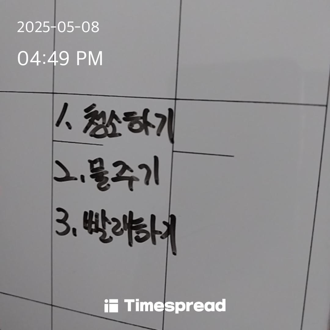 할일