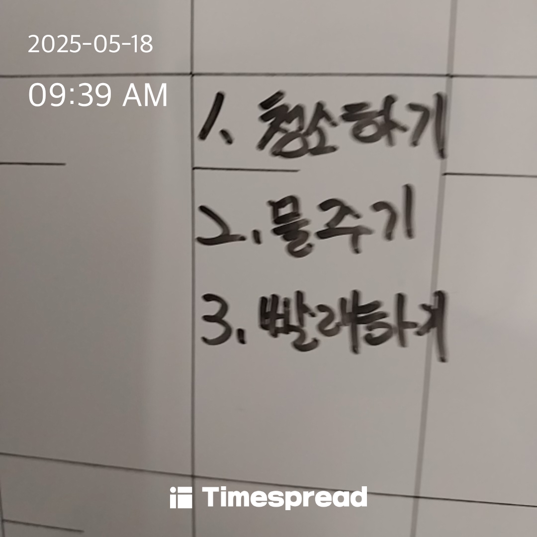 할일