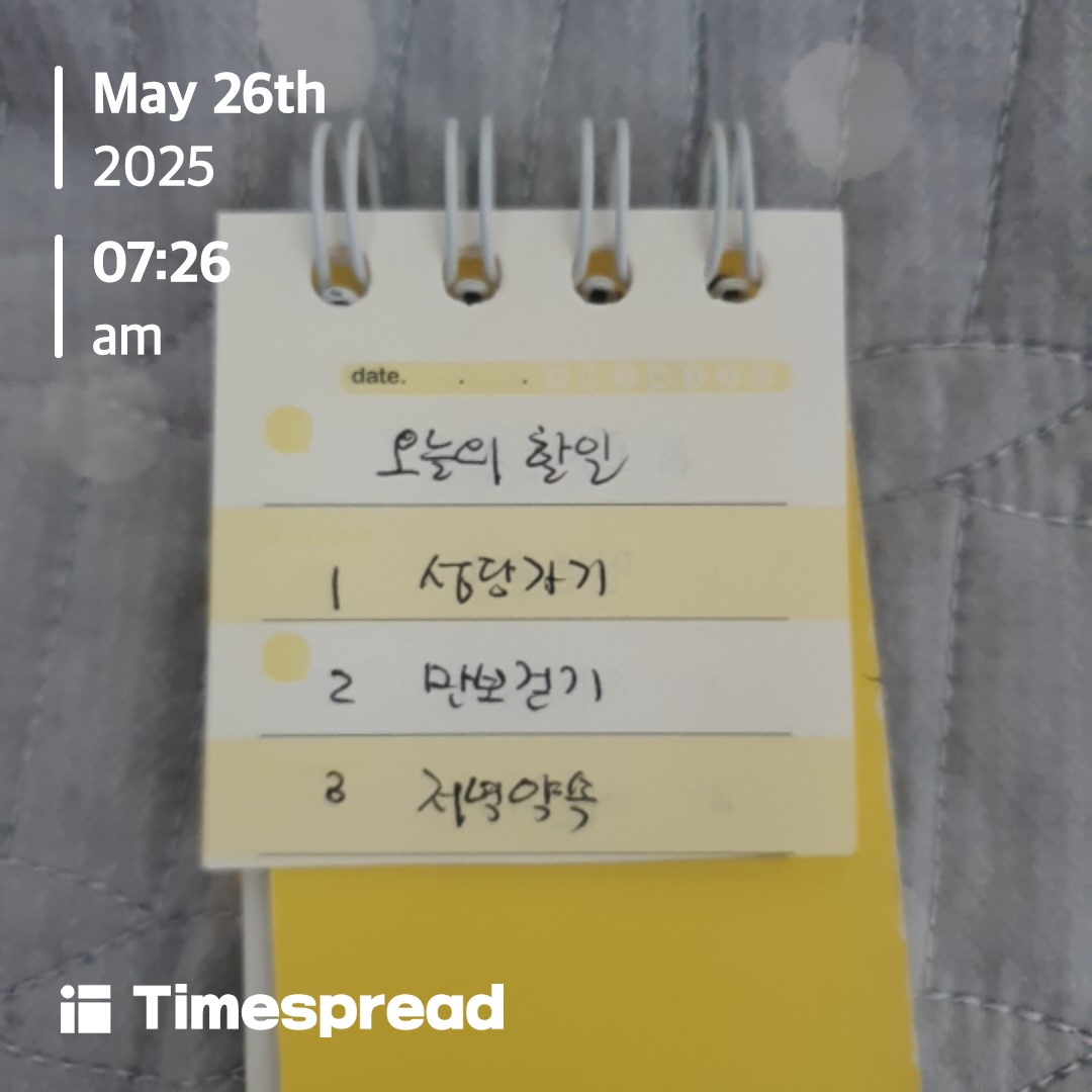 할일