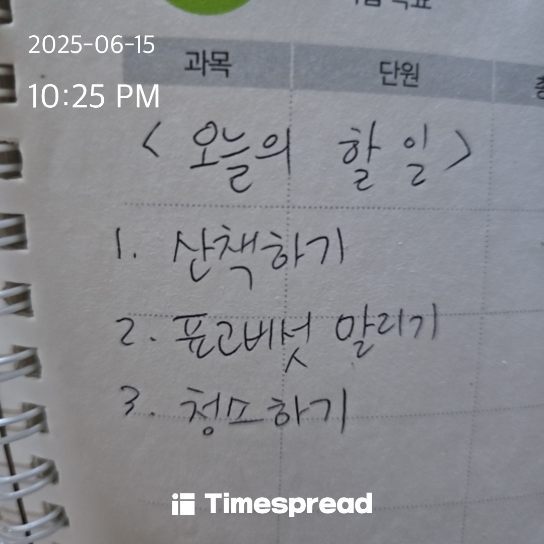 하루 할 일 챌린지