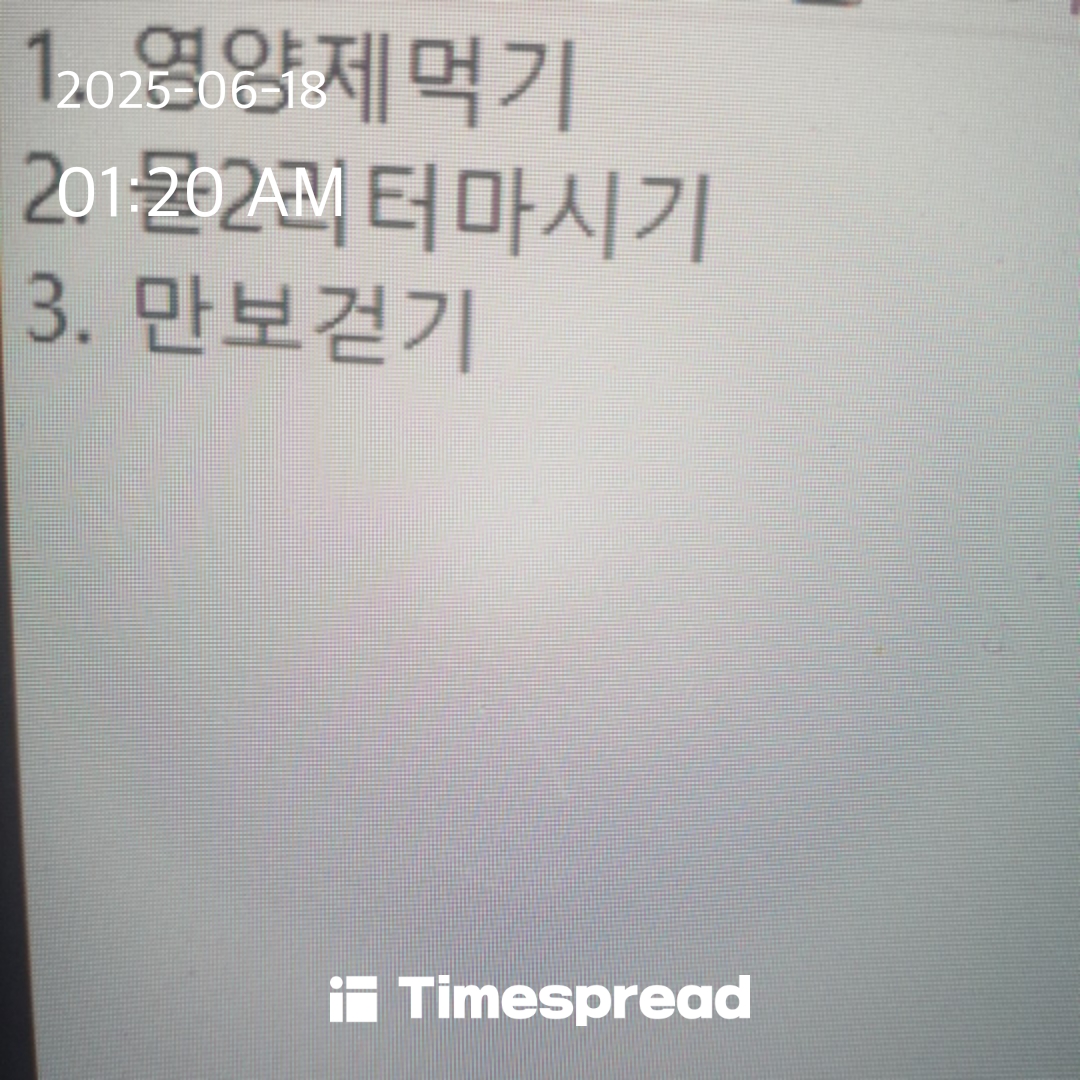 할일3가지