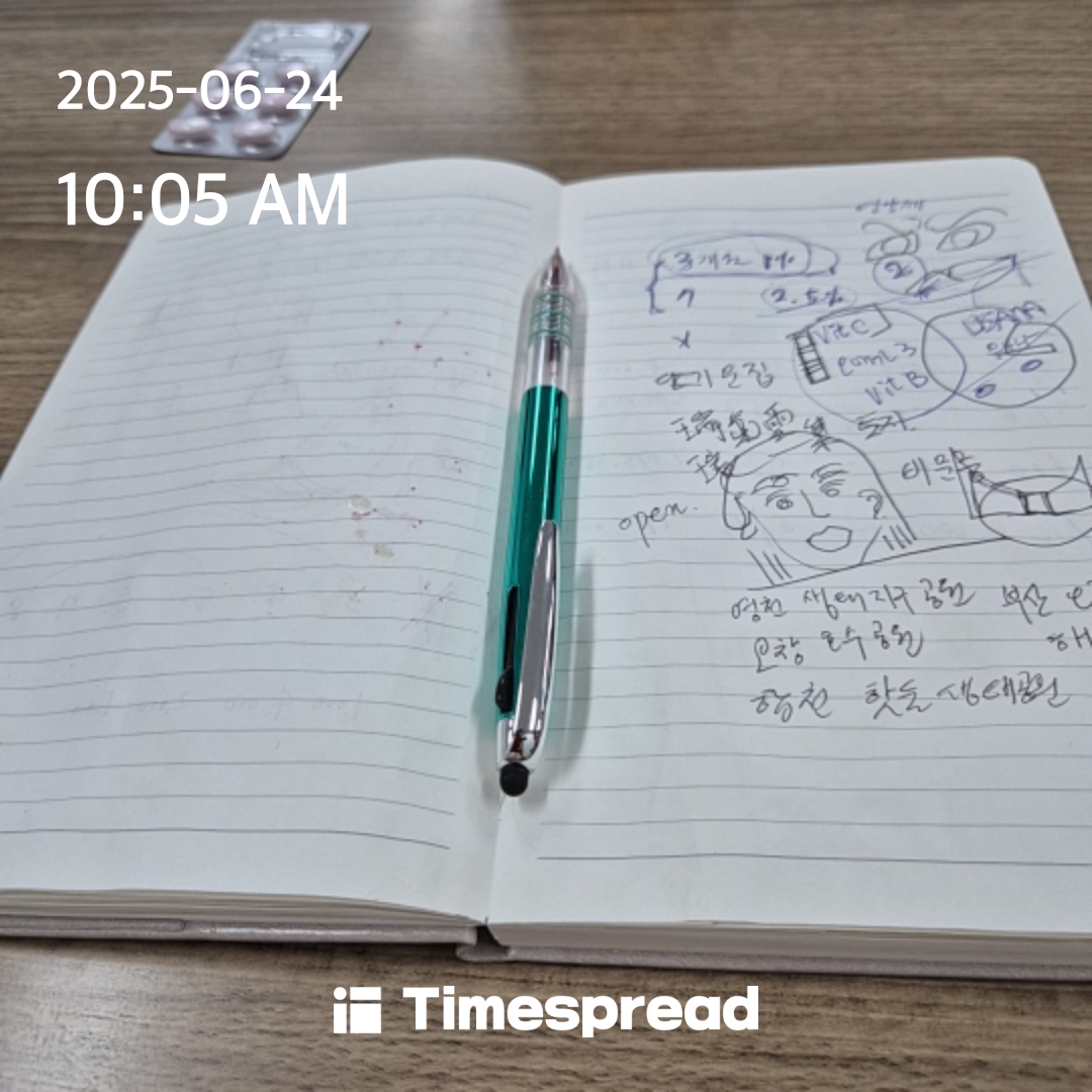 할일인증 