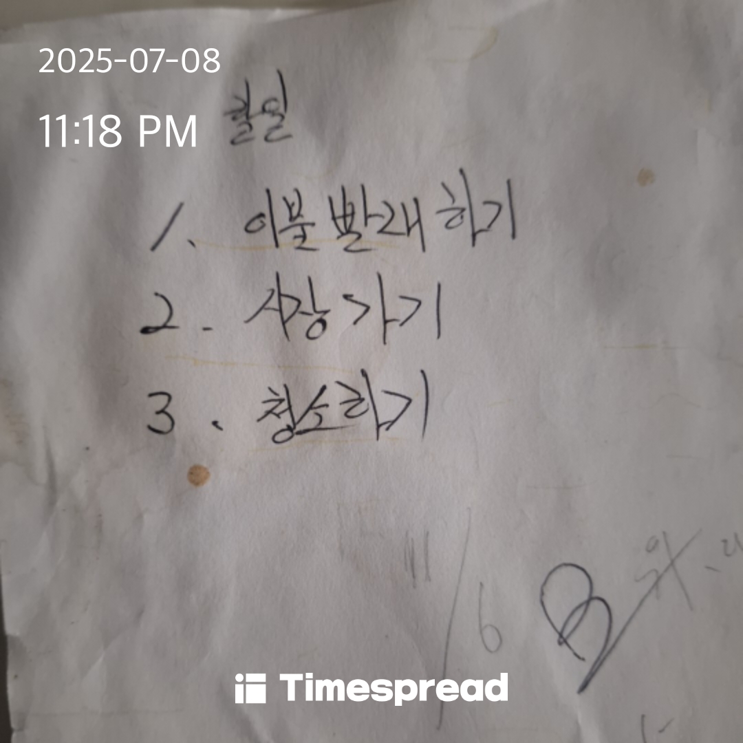 할일