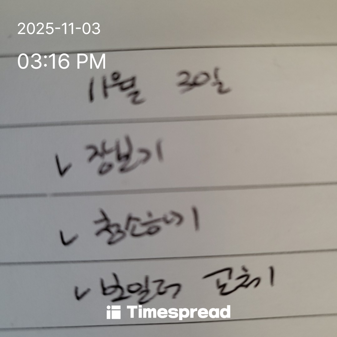 하루할일 11월3일