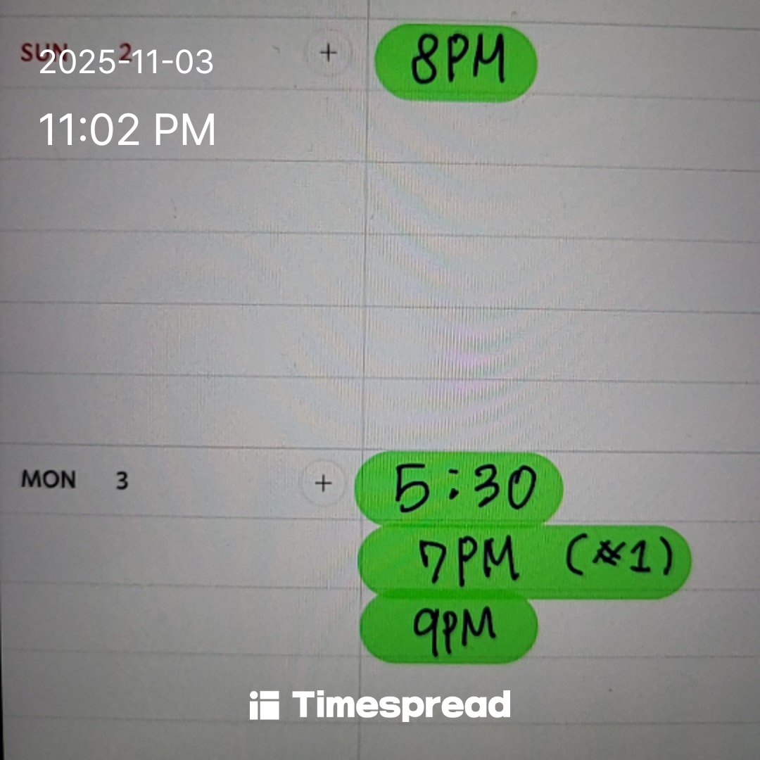 어제 오늘 한 일