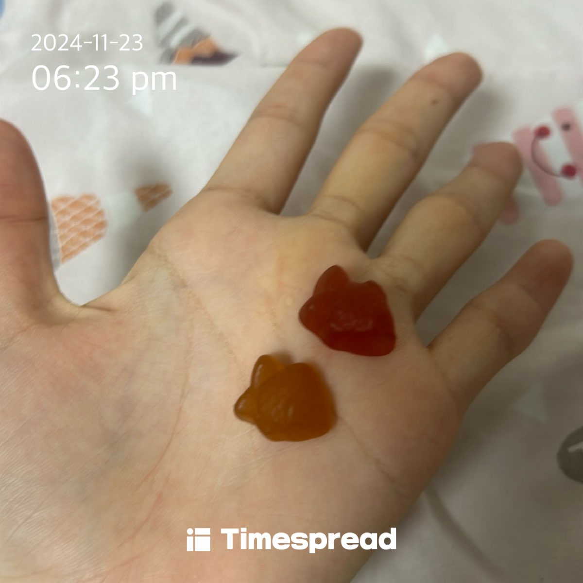 후후ㅜ후ㅜㅜ후후후후맛있다