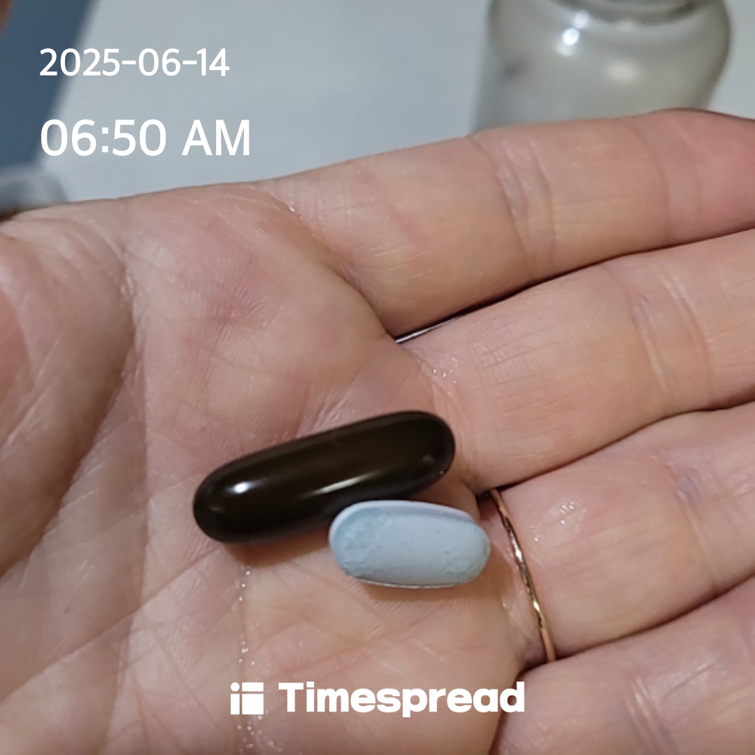 하루한번 영양제