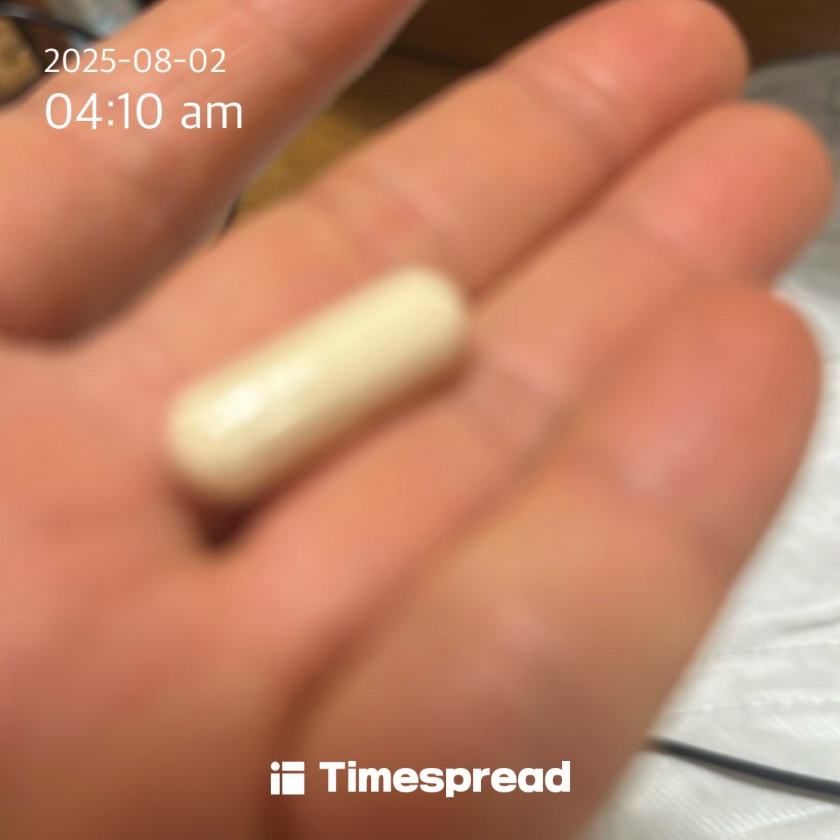 영양제