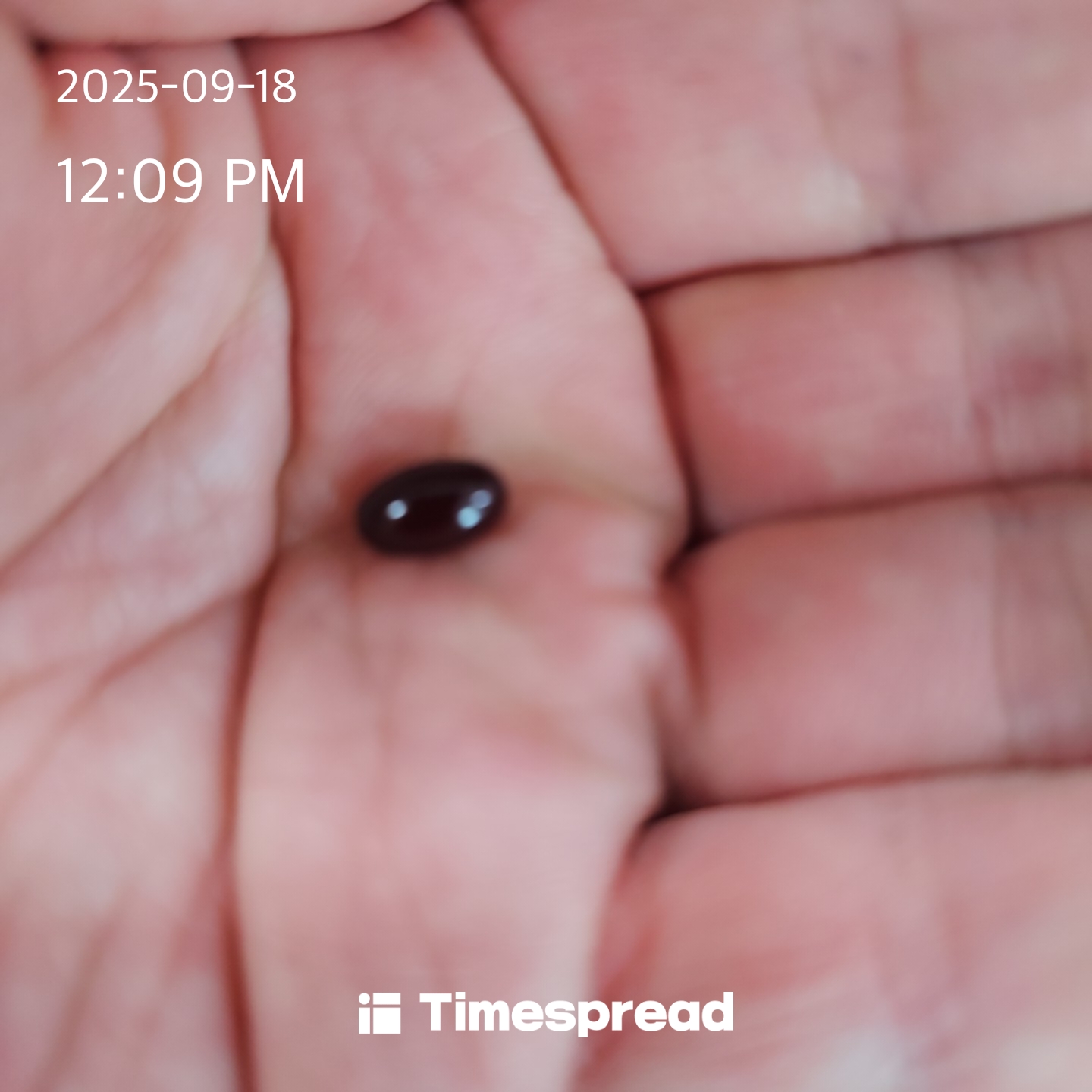 board-img
