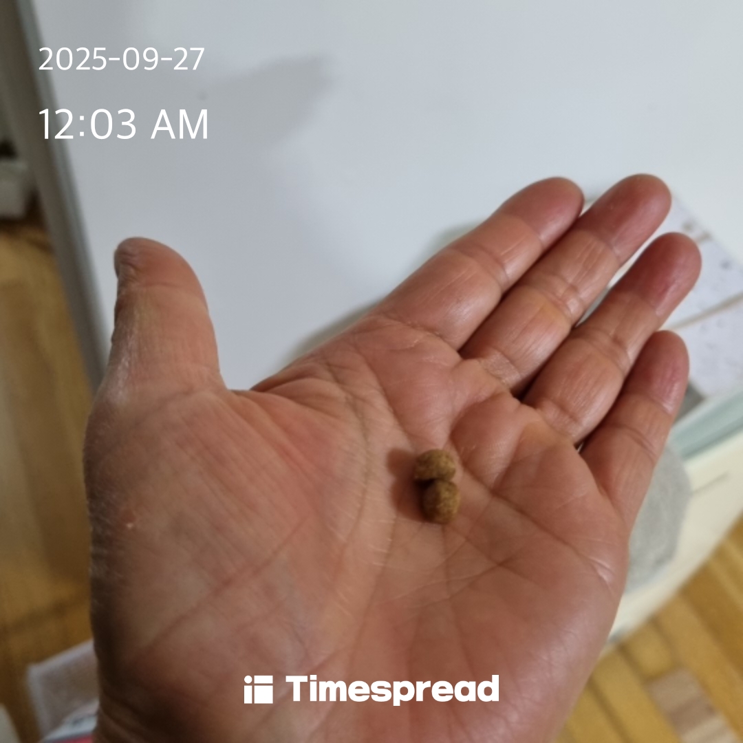 board-img