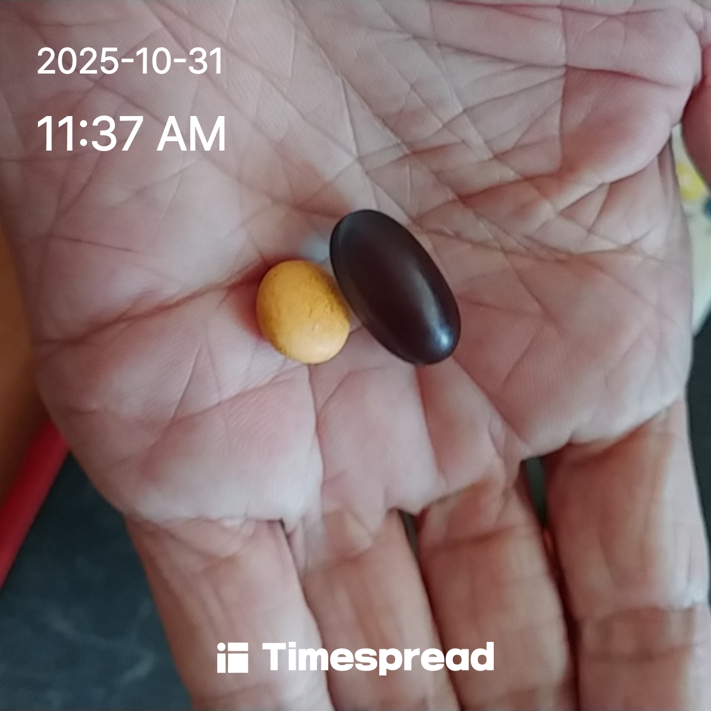 영양제 챌린지 5일차 인증