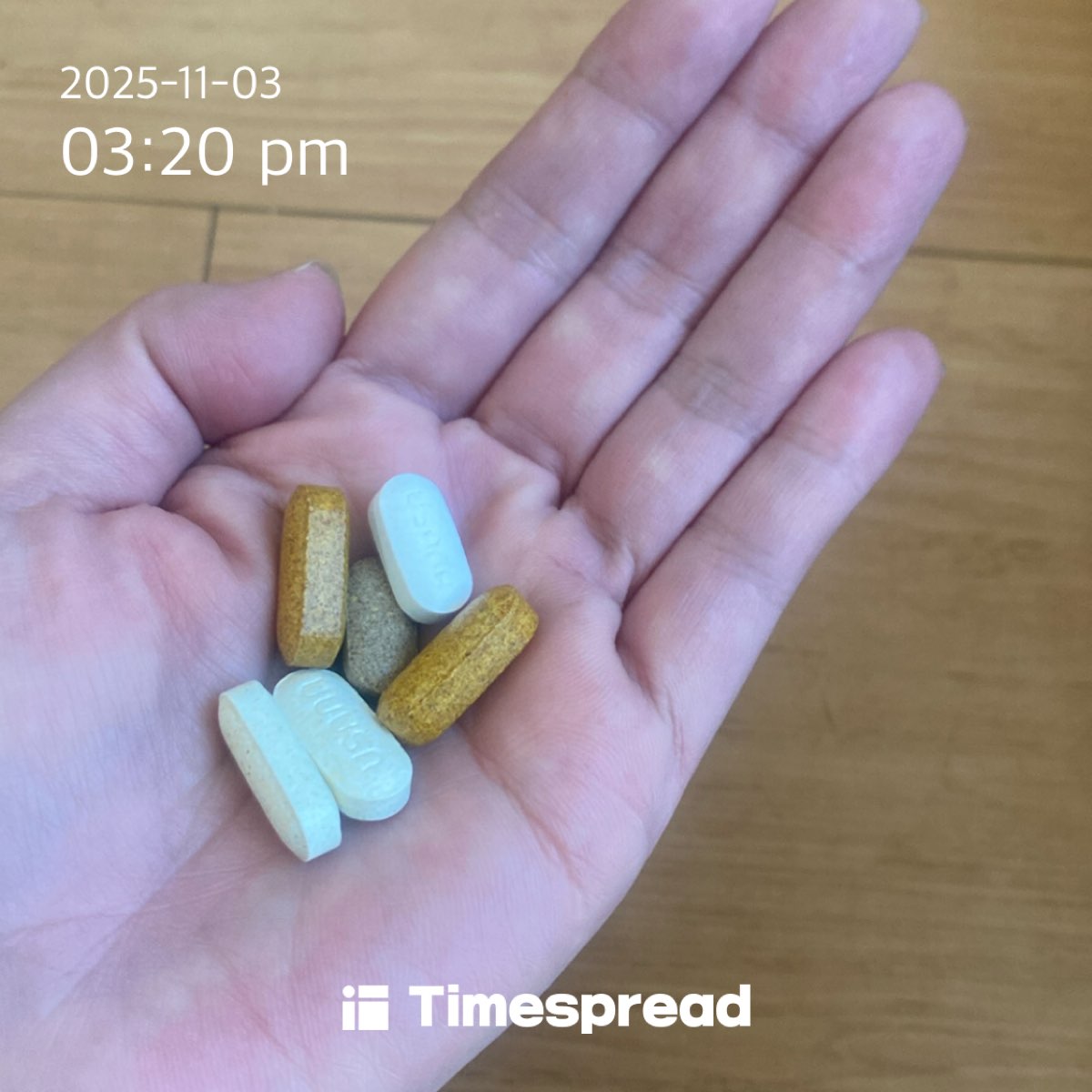 영양제먹기 1일차