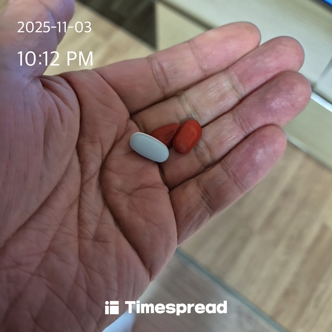 영양제 먹기 도전 1일차