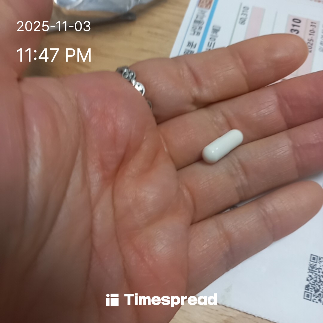 영양제 먹기 1일차