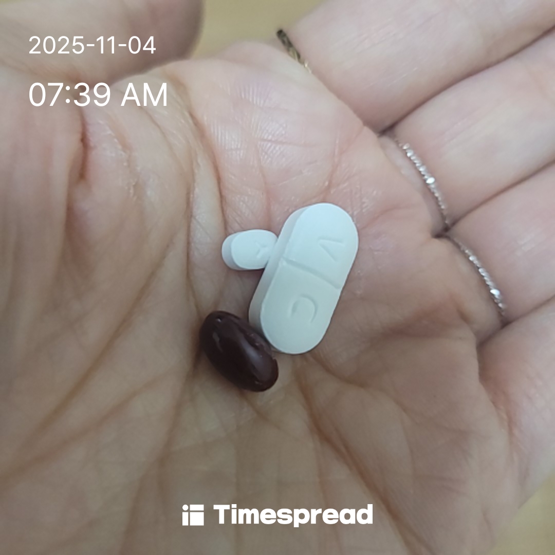 영양제먹기 챌린지 2일차