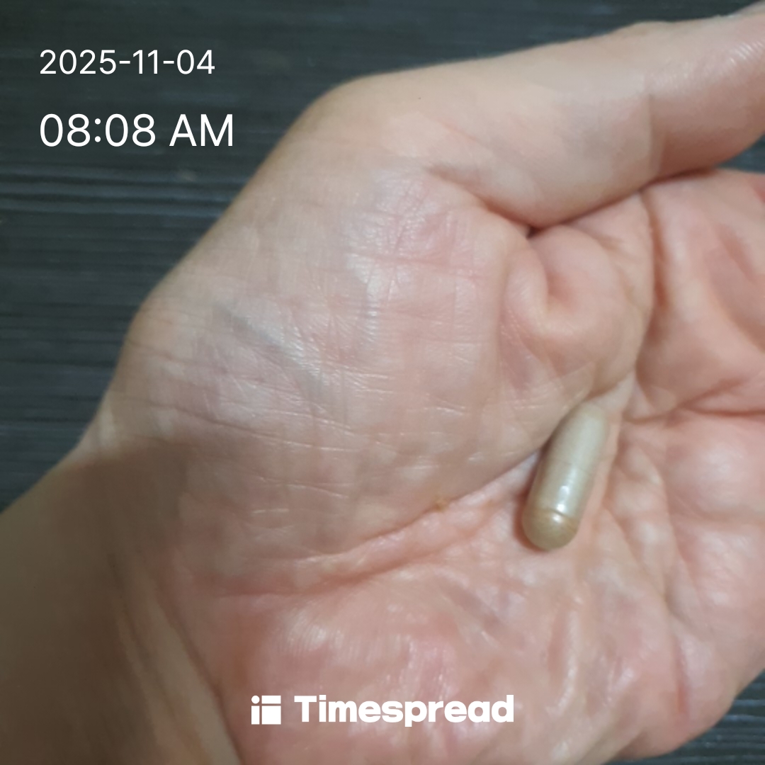 부지런히 챙겨먹기