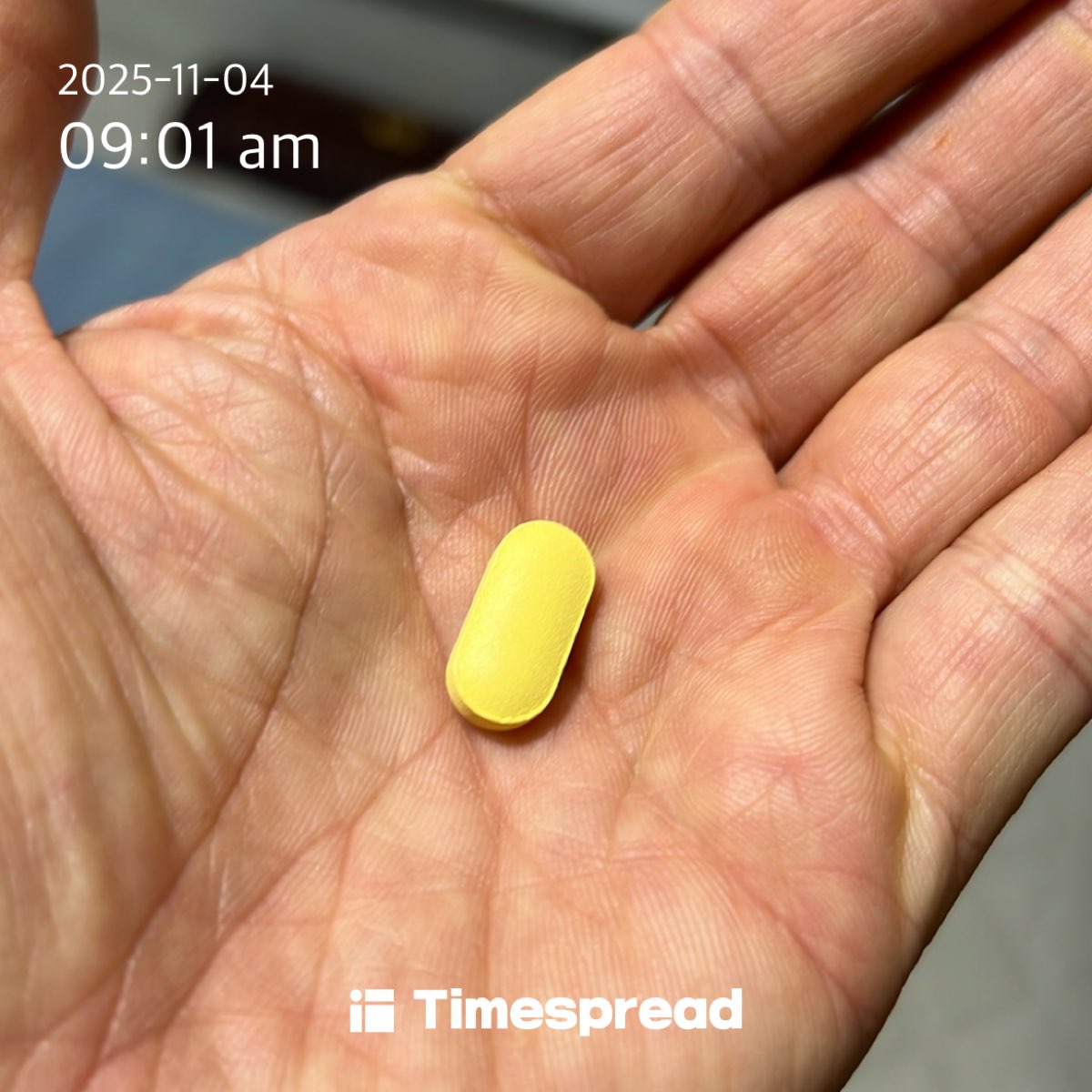 하루 한 번 영양제 먹기