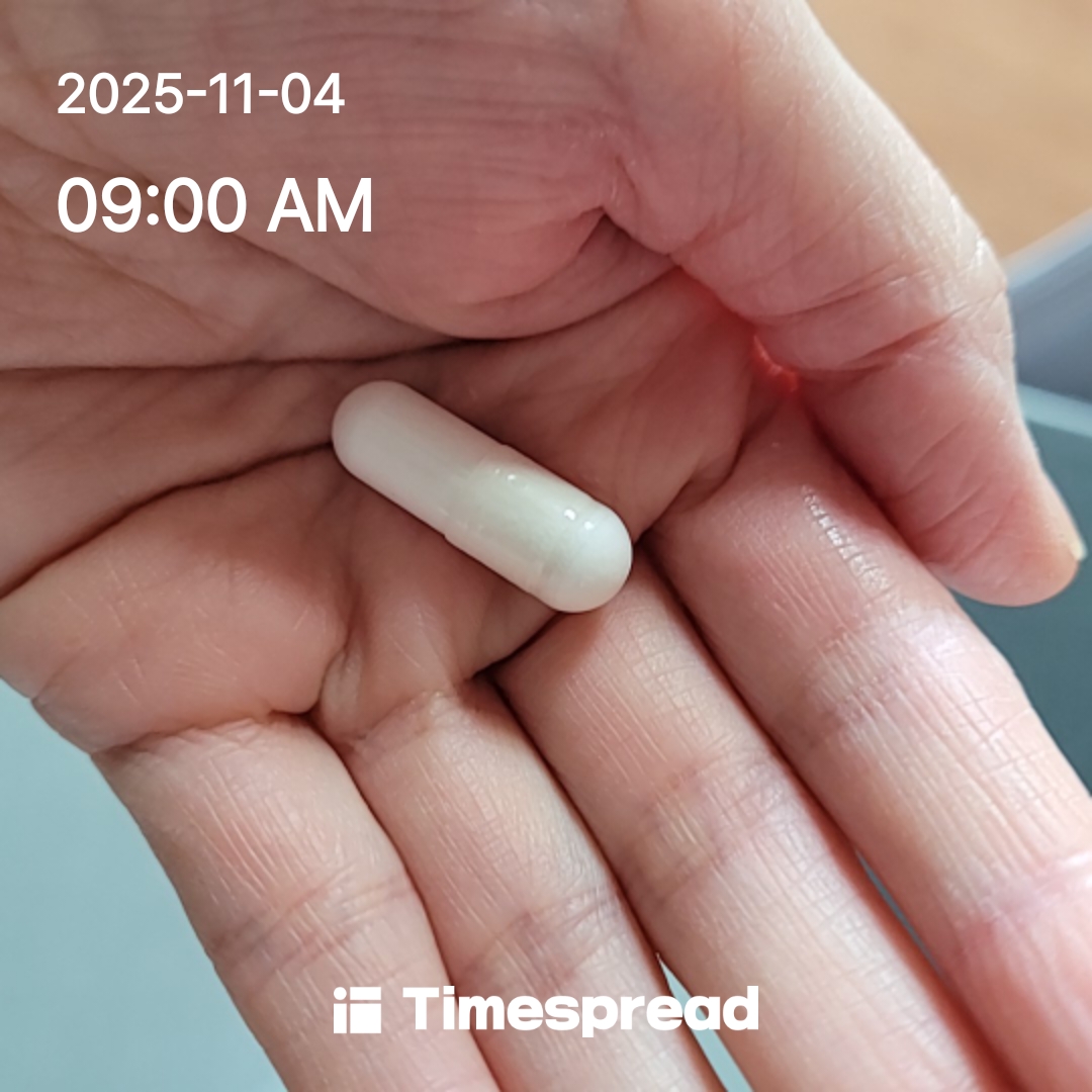 영양제 먹기 1일차