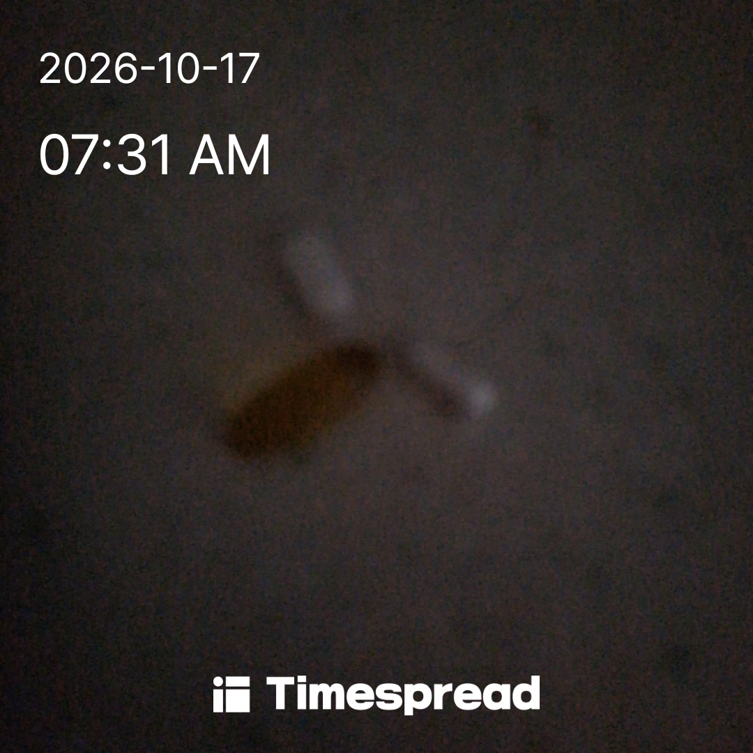 board-img