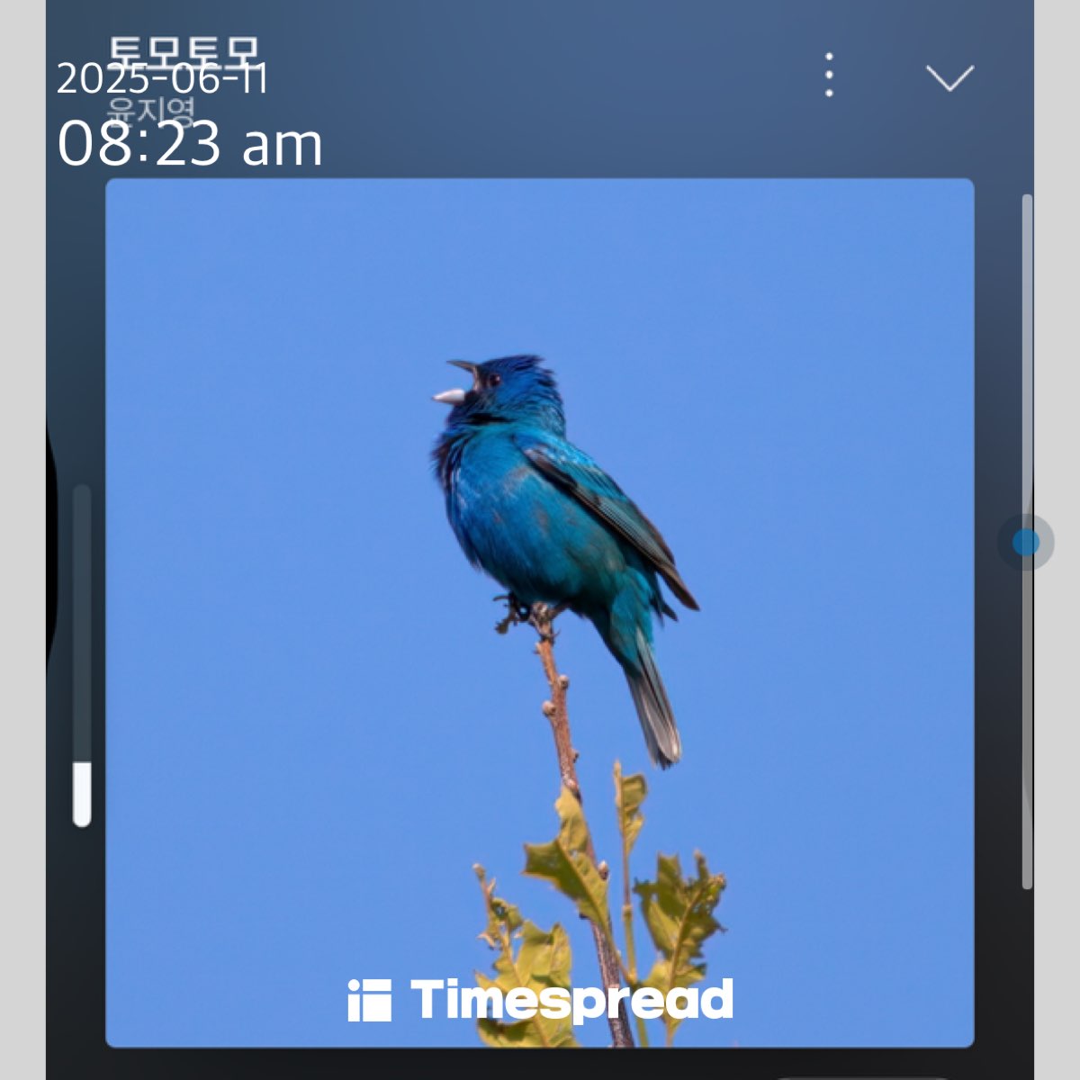 인증