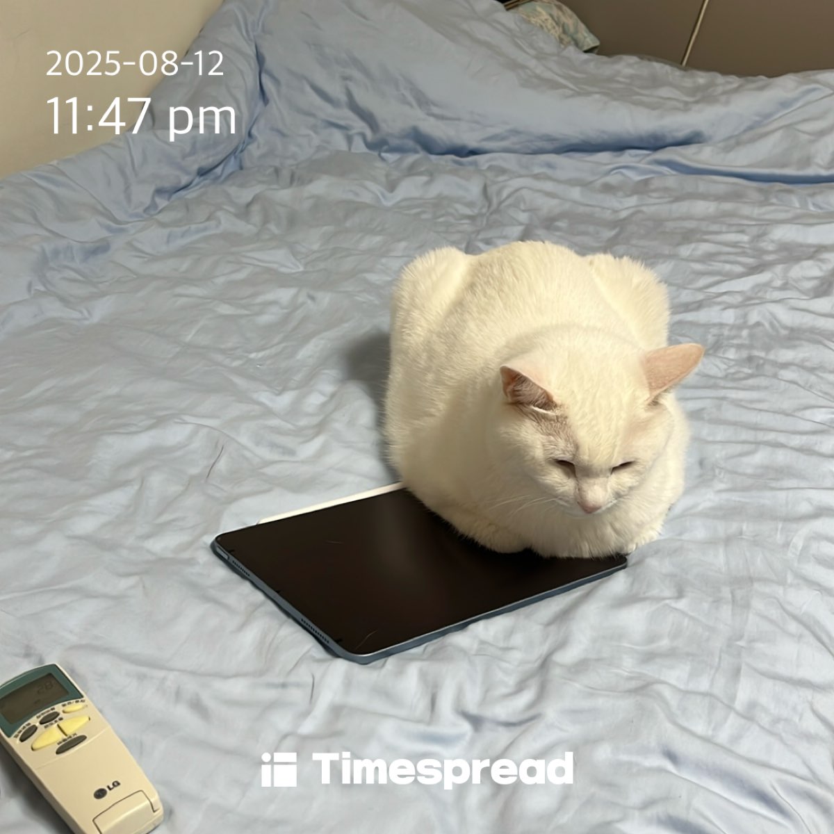 board-img