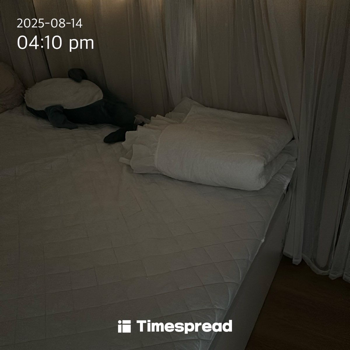 board-img