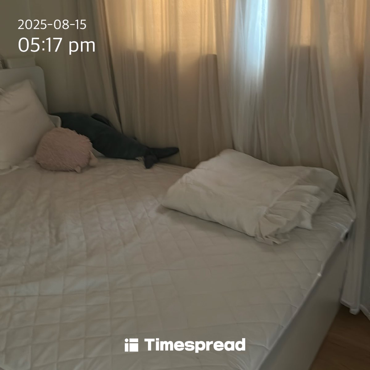 board-img