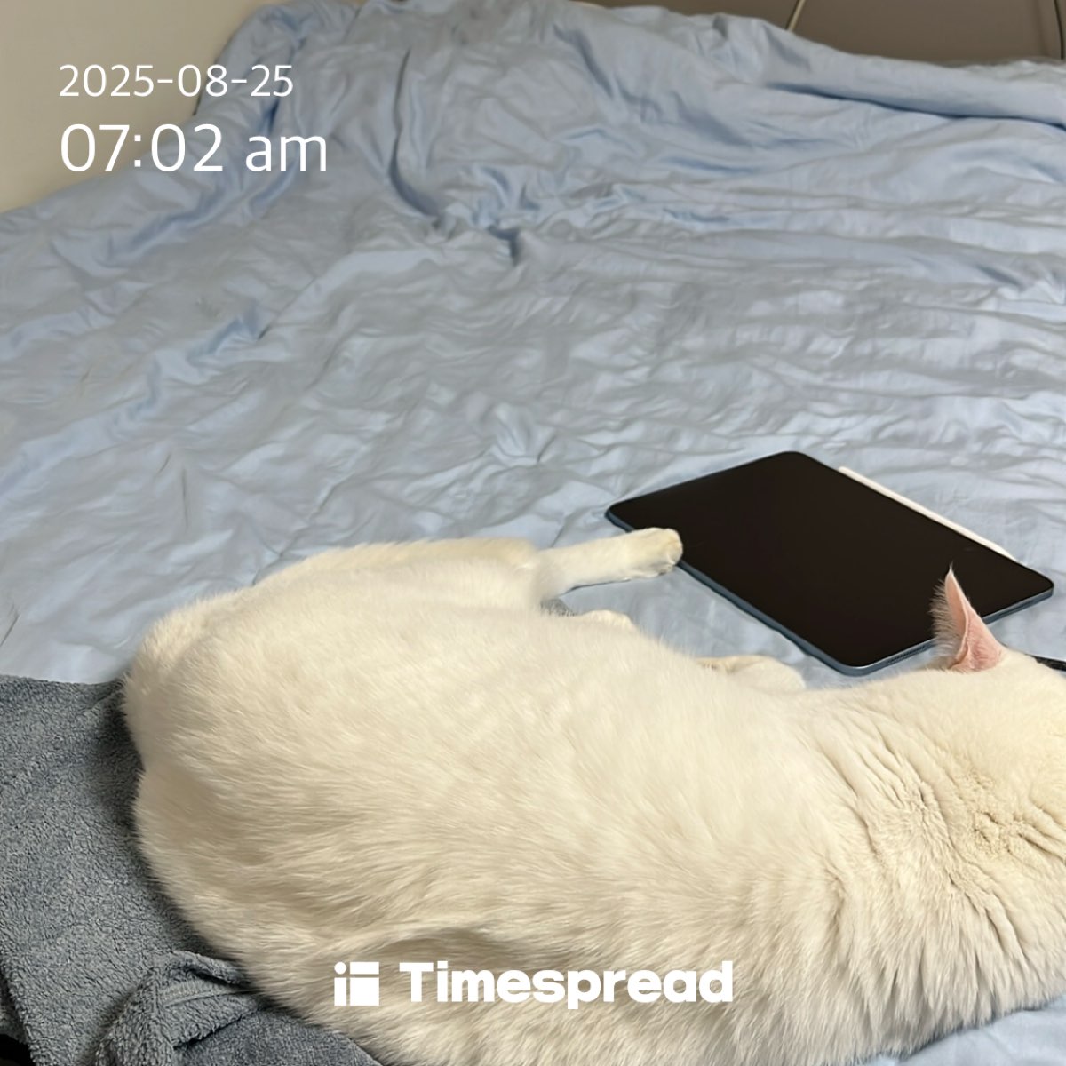 board-img