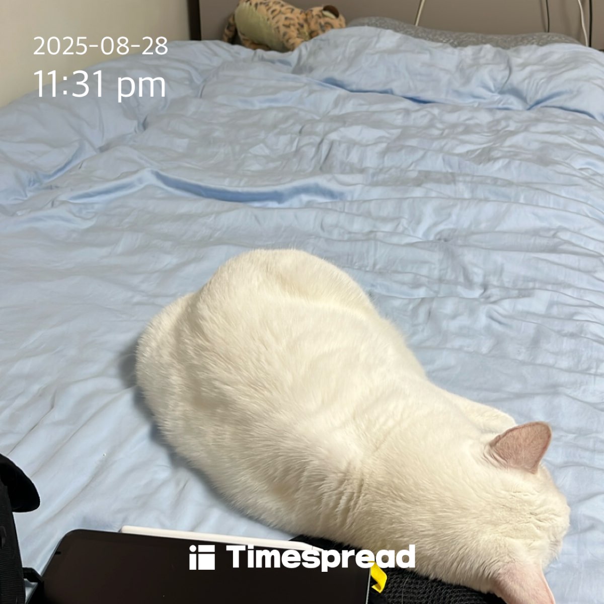 board-img