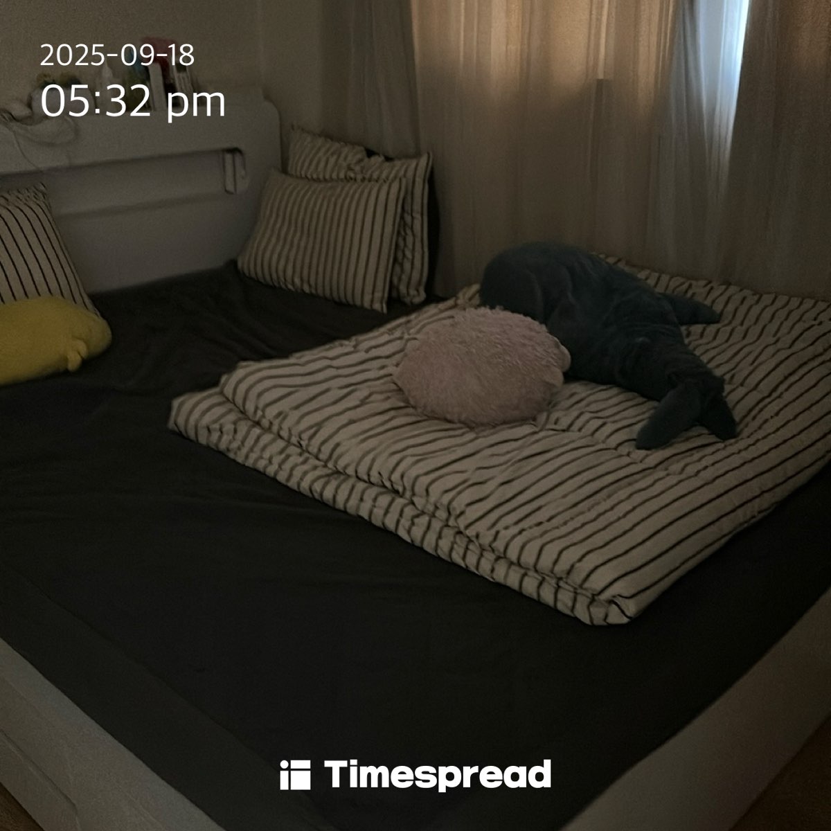 board-img