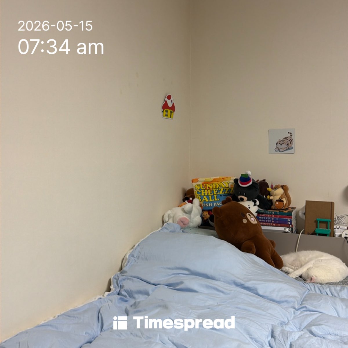 board-img