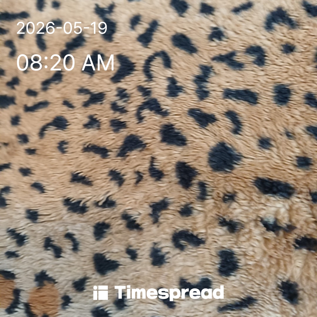 board-img