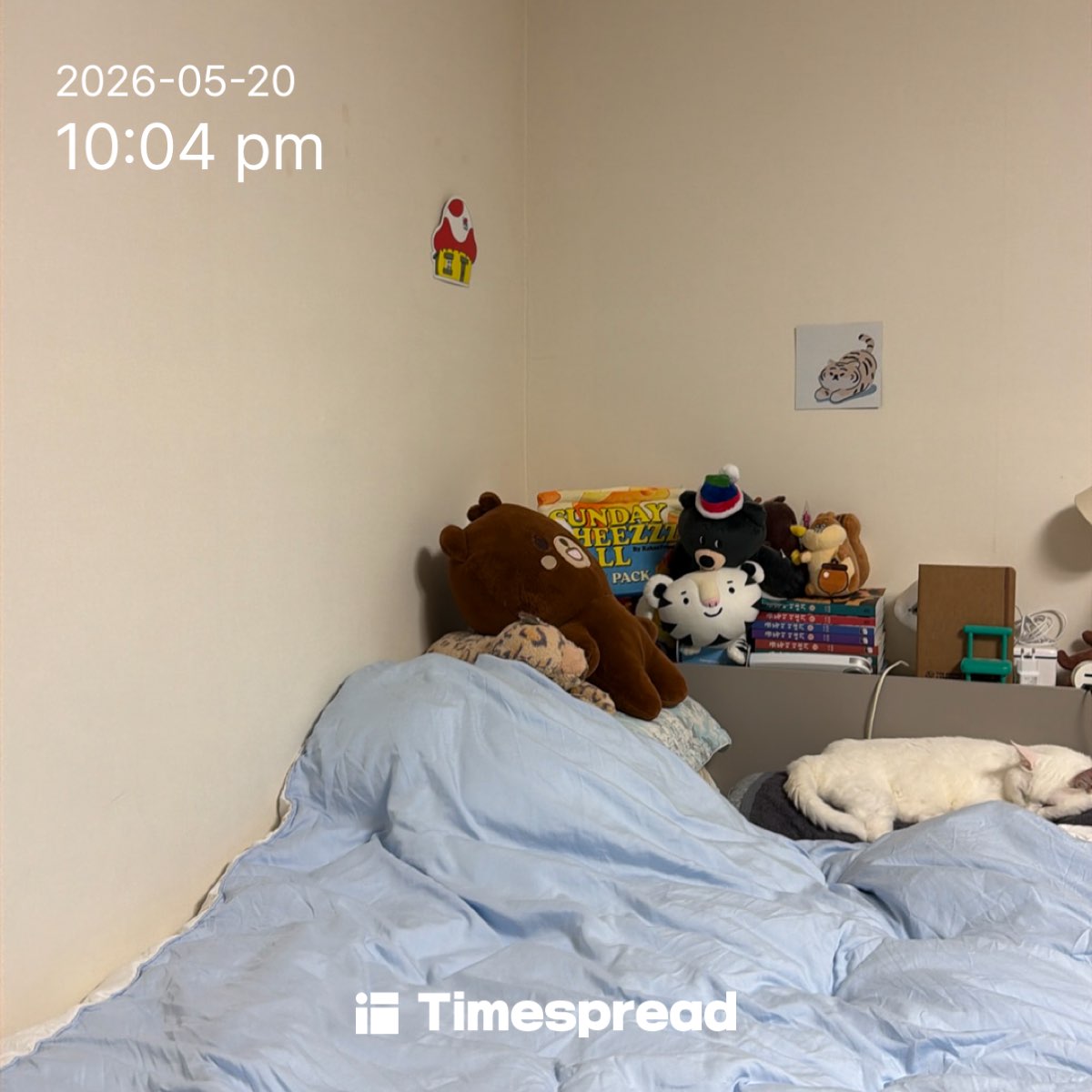 board-img