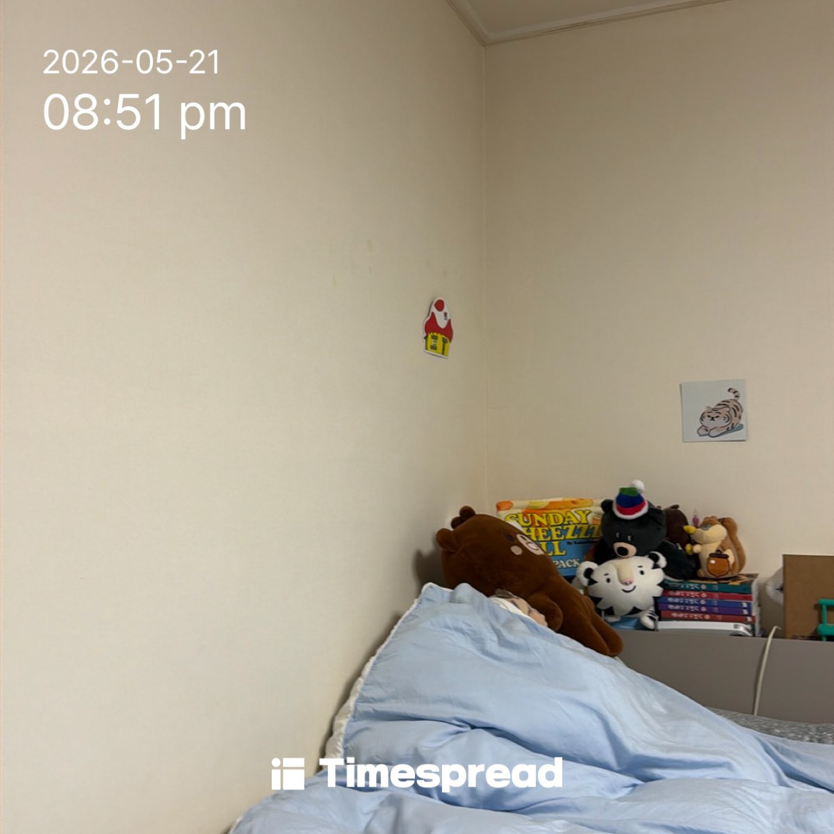 board-img