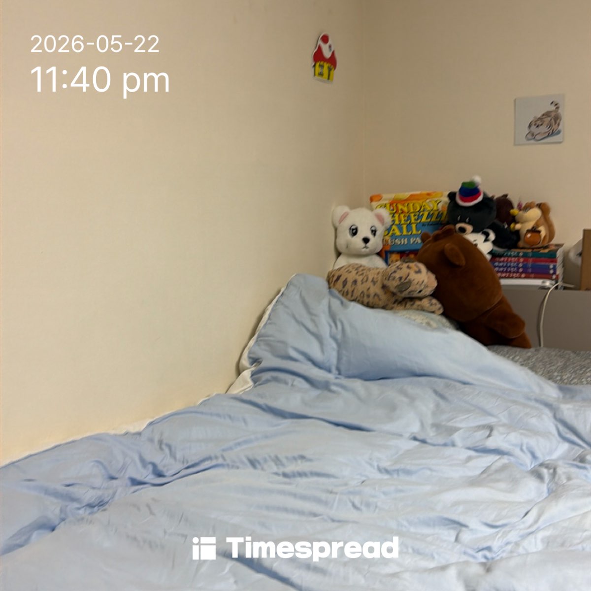 board-img