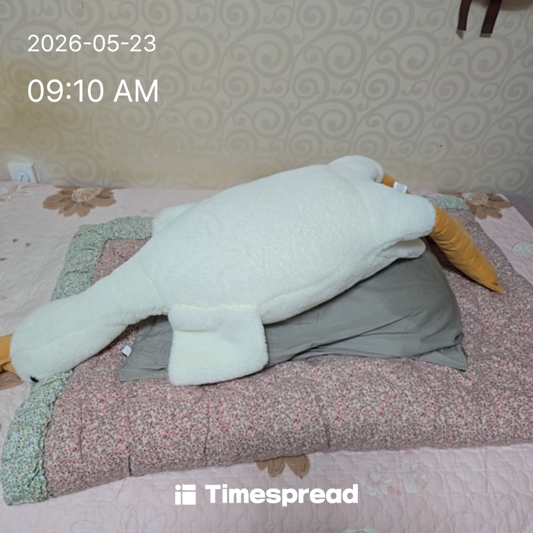 board-img
