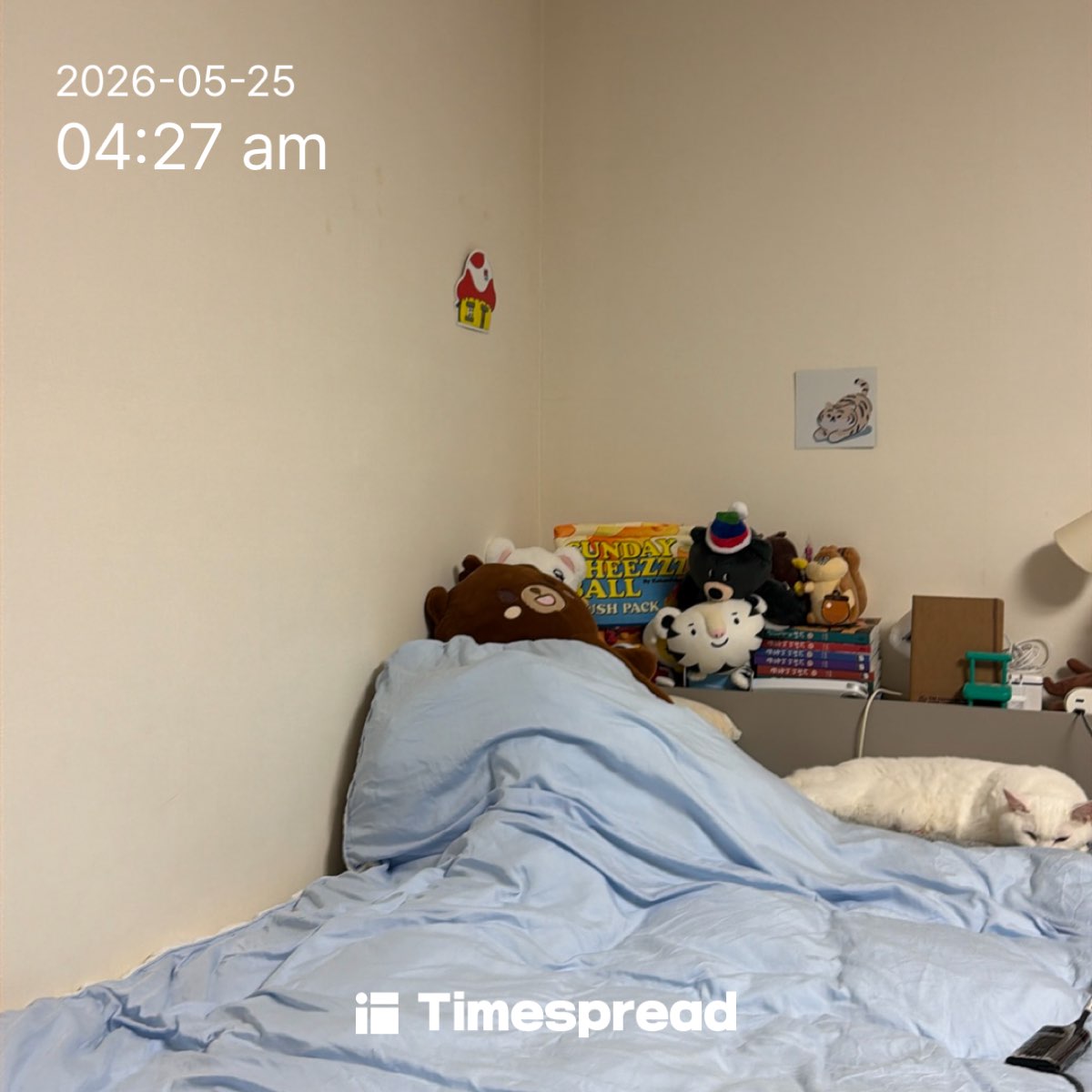 board-img