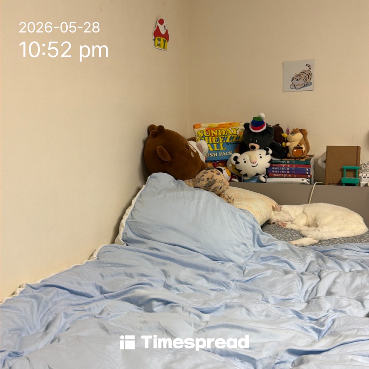 board-img