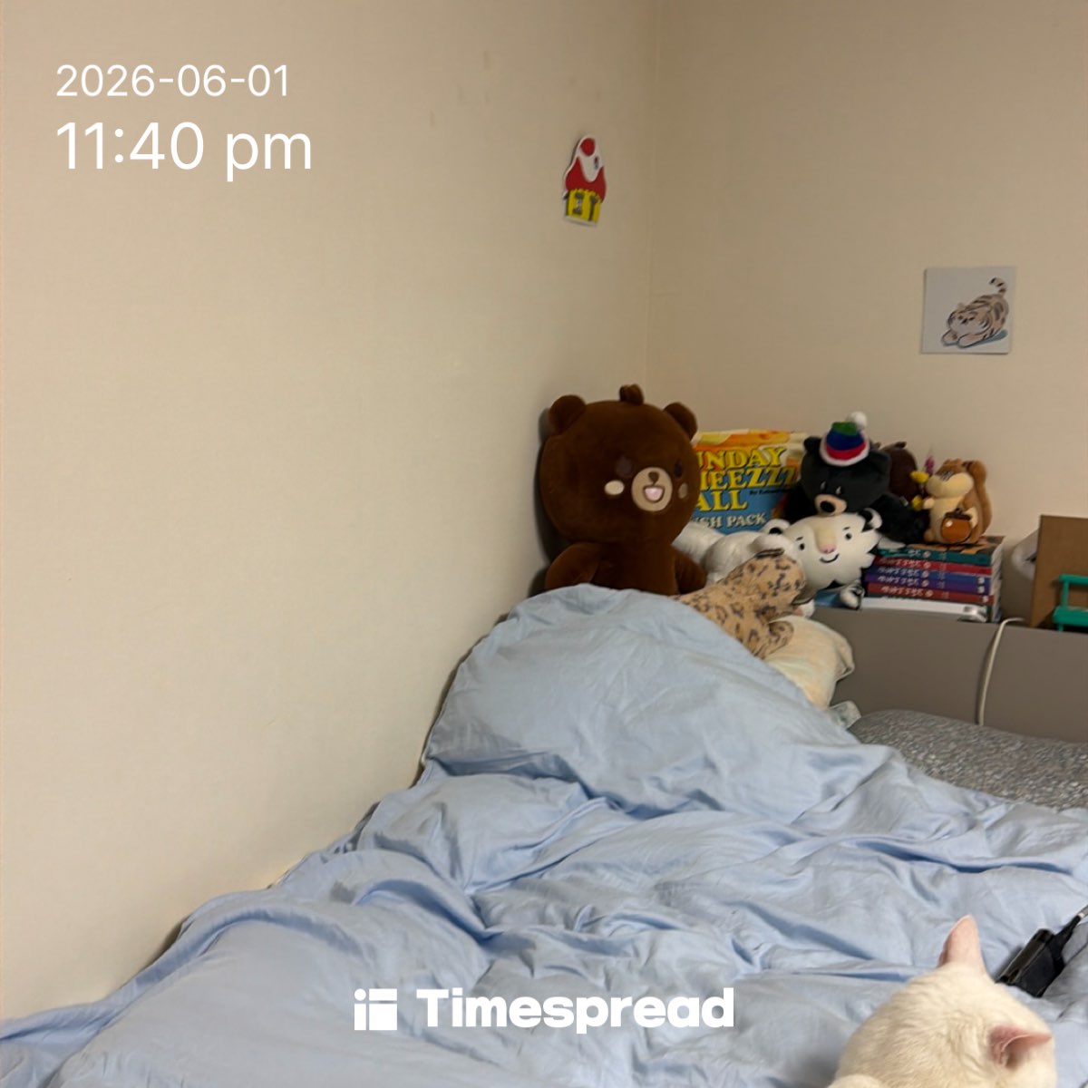 board-img