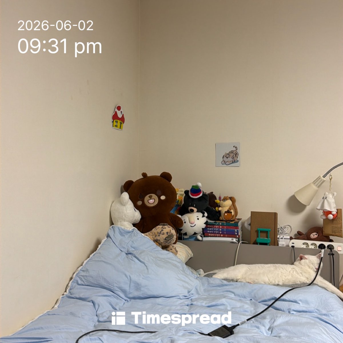 board-img