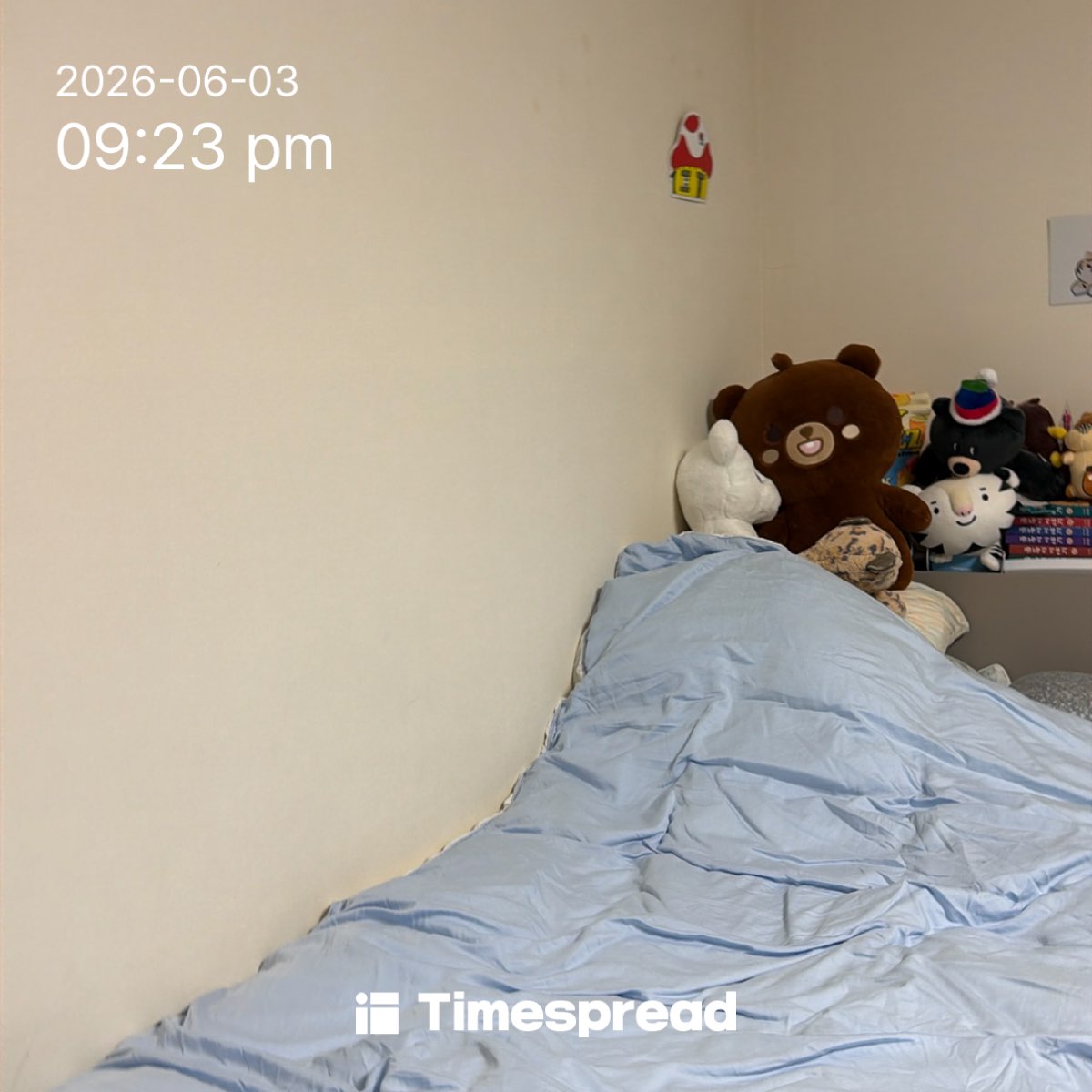 board-img