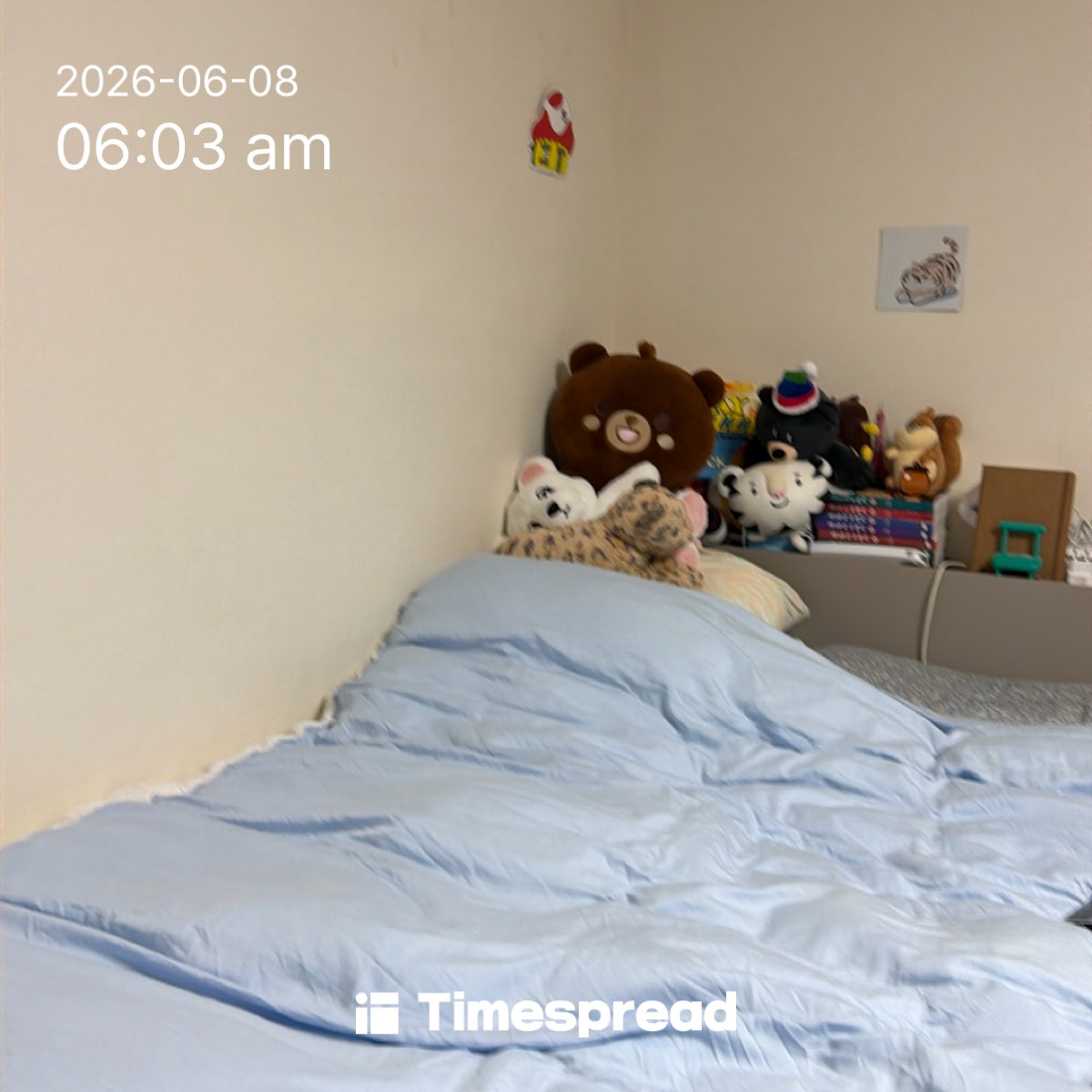 board-img
